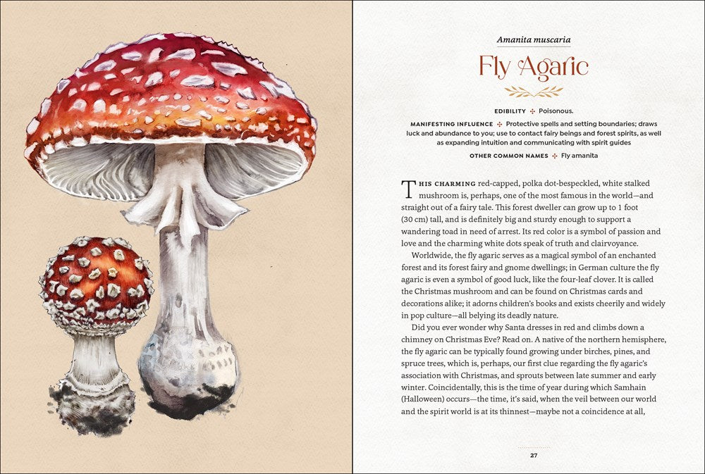 MYSTICAL MUSHROOMS: DISCOVER THE MAGIC & FOLKLORE OF FANTASTIC FUNGI