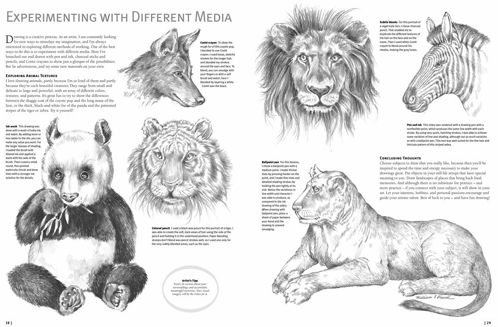 THE COMPLETE BEGINEER'S GUIDE TO DRAWING ANIMALS