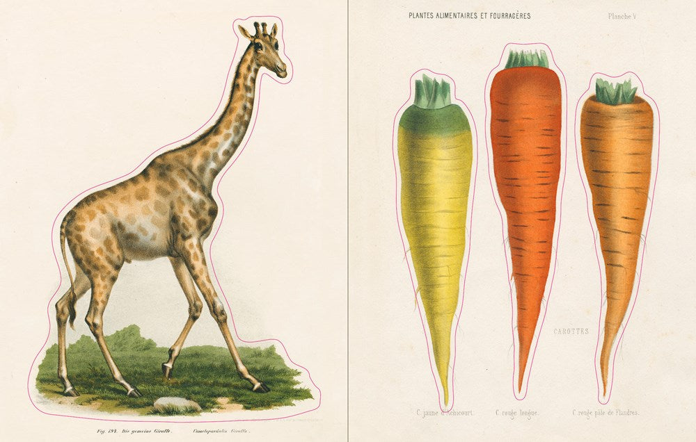 JOHN DERIAN STICKER BOOK