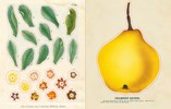 JOHN DERIAN STICKER BOOK