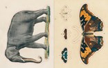 JOHN DERIAN STICKER BOOK