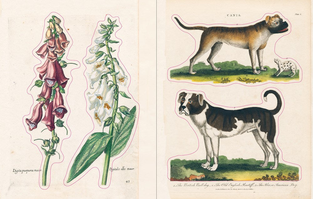 JOHN DERIAN STICKER BOOK