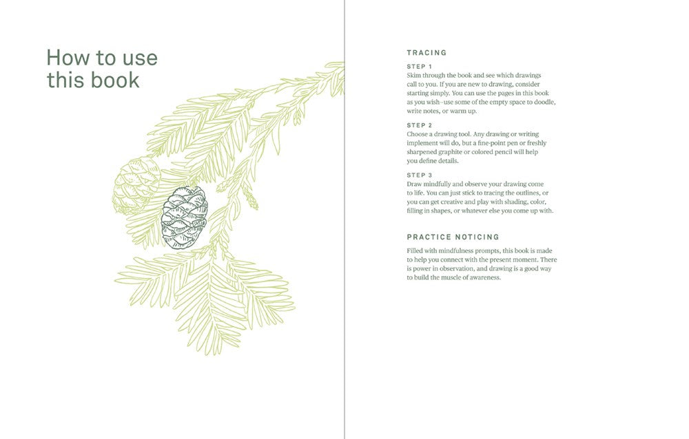 DRAWING TREES