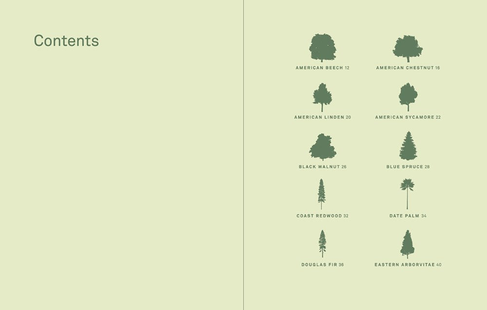 DRAWING TREES