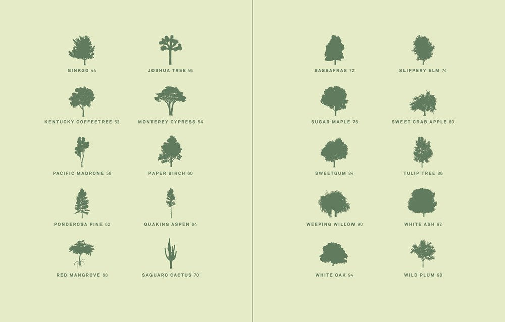 DRAWING TREES