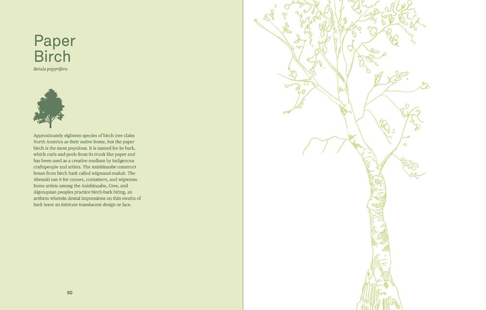 DRAWING TREES