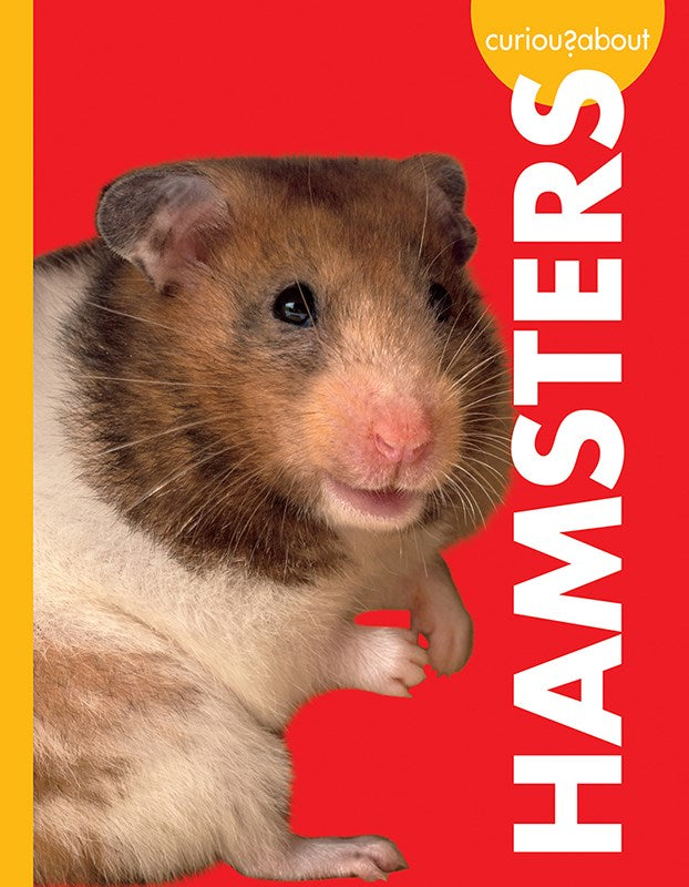 CURIOUS ABOUT HAMSTERS