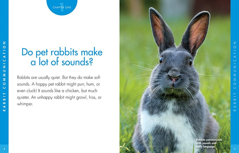 CURIOUS ABOUT RABBITS