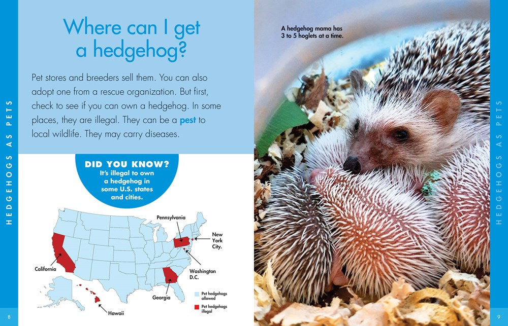 CURIOUS ABOUT GUINEA PIGS