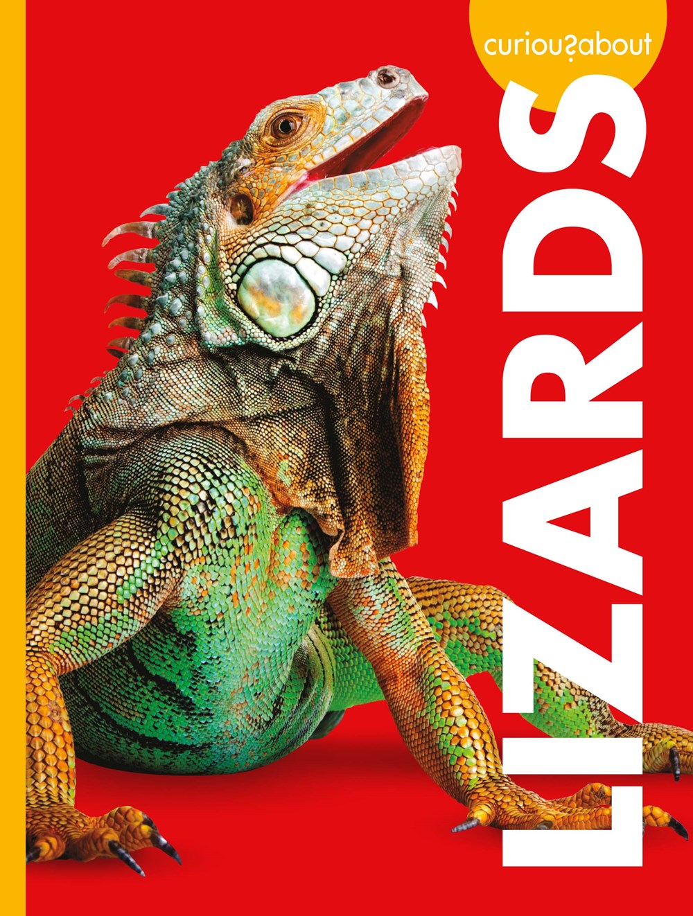 CURIOUS ABOUT LIZARDS