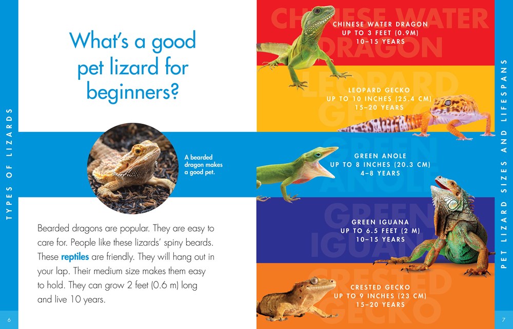 CURIOUS ABOUT LIZARDS