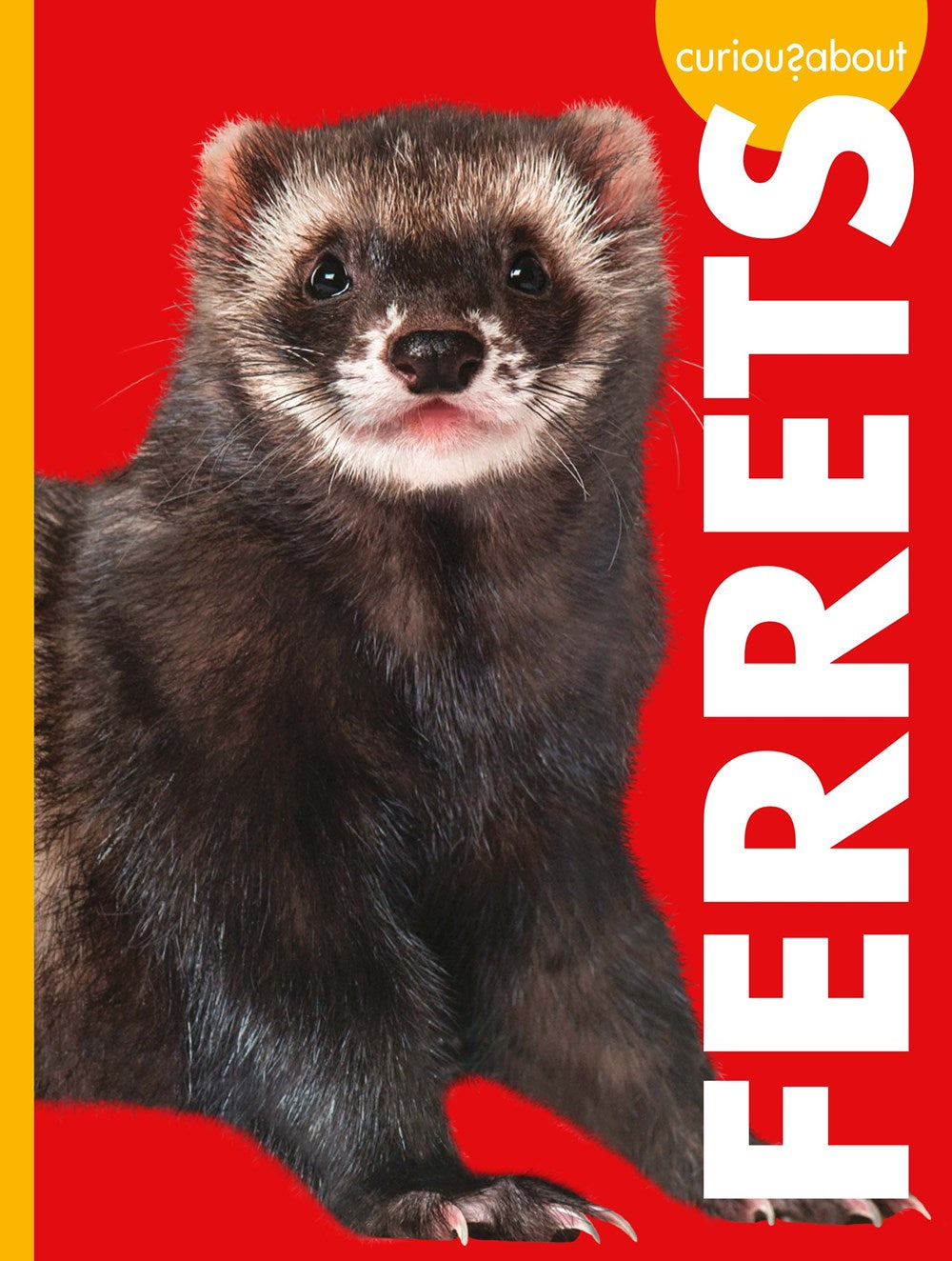 CURIOUS ABOUT FERRETS
