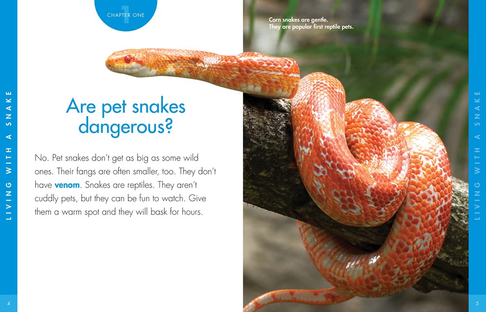 CURIOUS ABOUT SNAKES