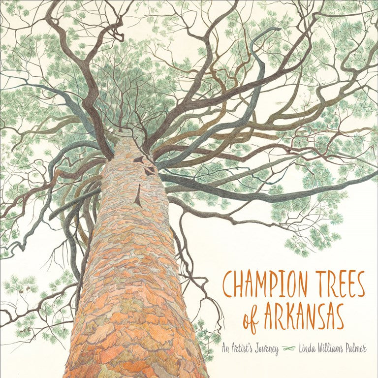 CHAMPION TREES OF ARKANSAS: AN ARTIST'S JOURNEY