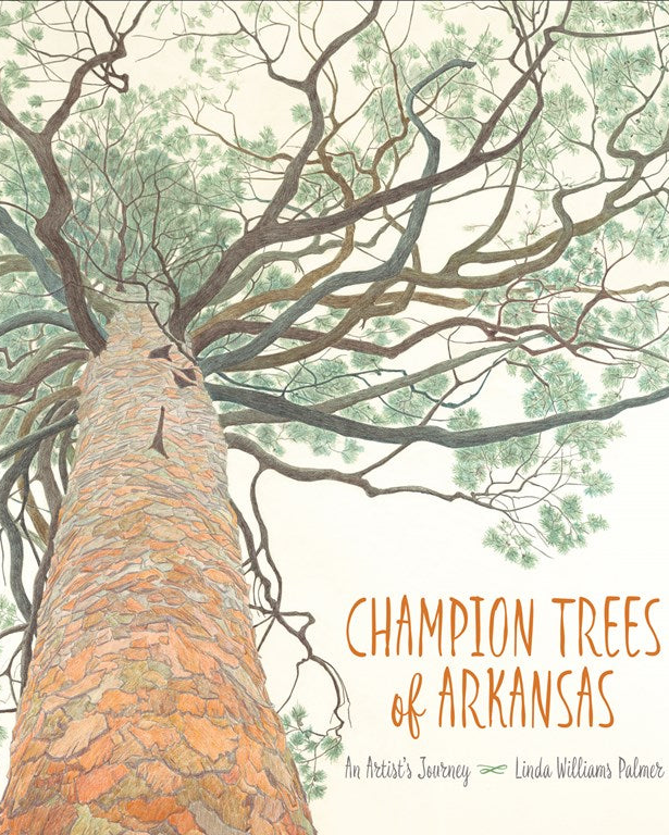 CHAMPION TREES OF ARKANSAS: AN ARTIST'S JOURNEY
