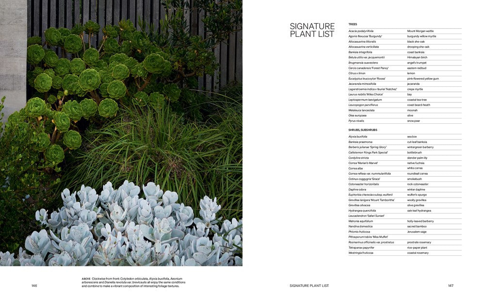 WITH NATURE: THE LANDSCAPES OF FIONA BROCKHOFF
