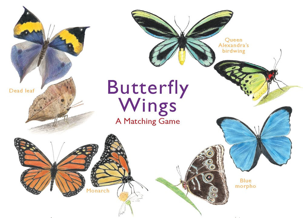 BUTTERFLY WINGS: A MATCHING GAME