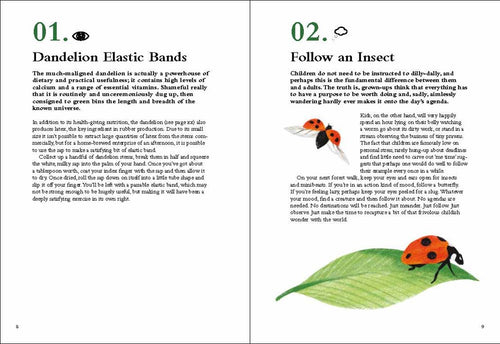 100 THINGS TO DO IN A FOREST