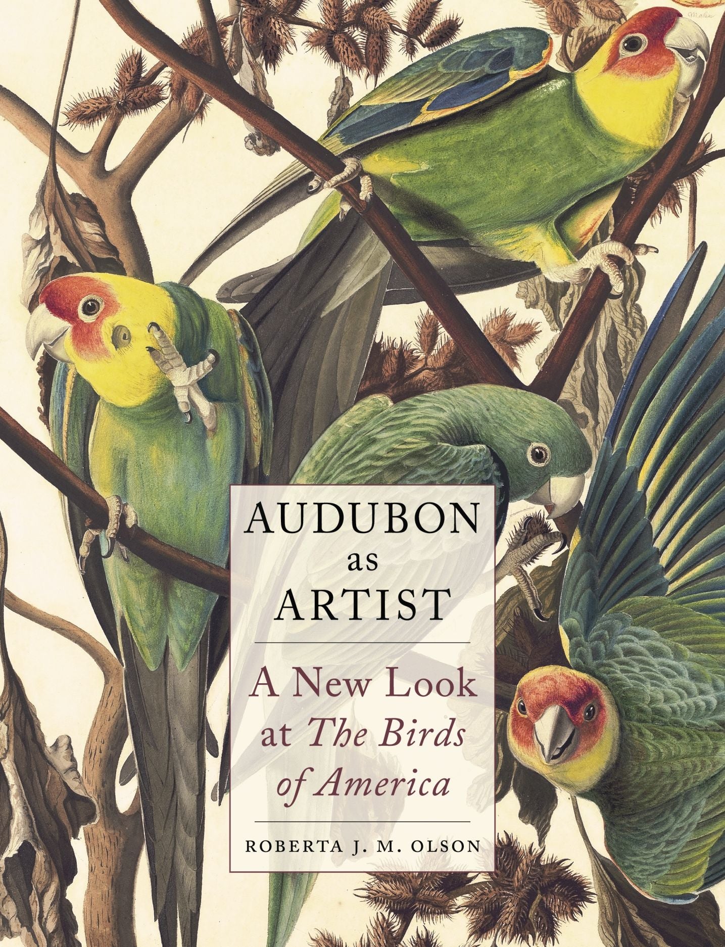 AUDUBON AS ARTIST: A NEW LOOK AT THE BIRDS OF AMERICA