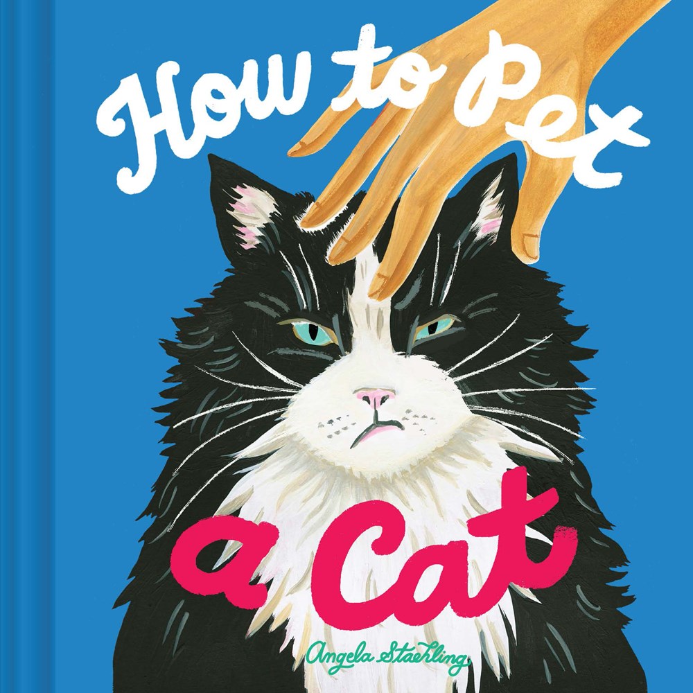 HOW TO PET A CAT