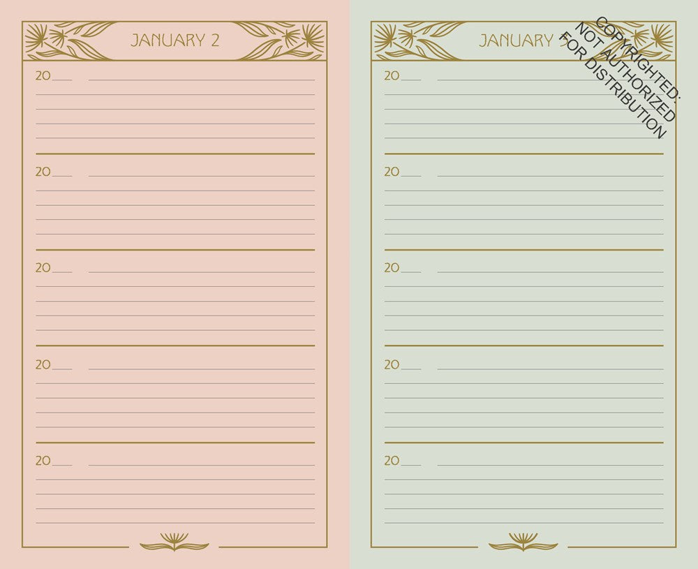 NOUVEAU ONE LINE A DAY (JOURNAL)