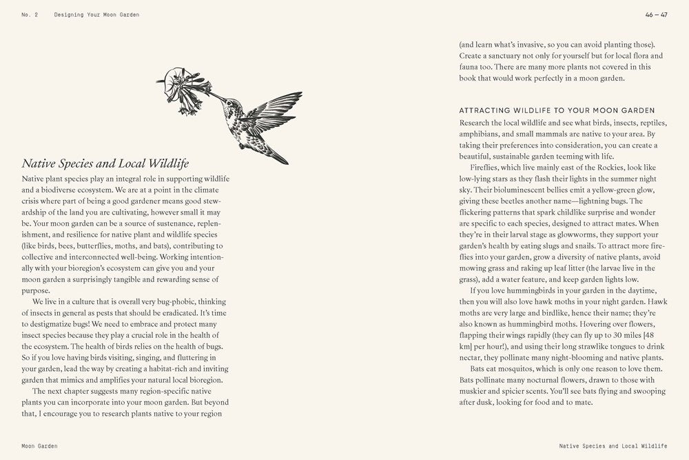 MOON GARDEN: A GUIDE TO CREATING AN EVENING OASIS