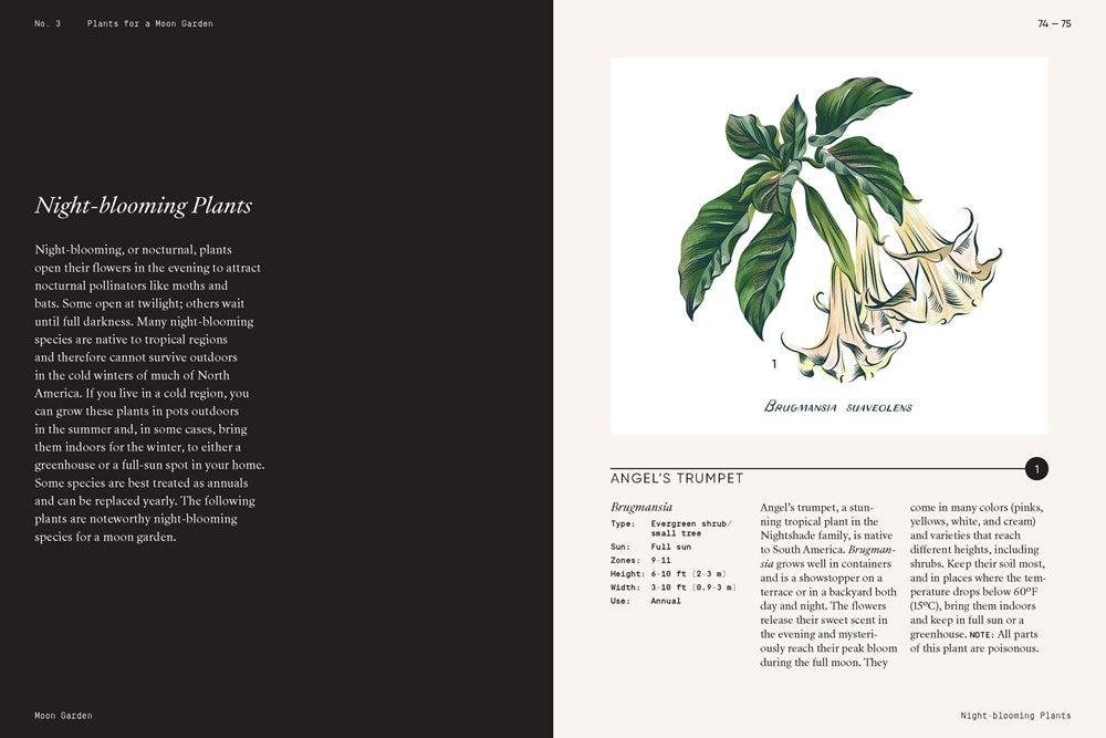 MOON GARDEN: A GUIDE TO CREATING AN EVENING OASIS