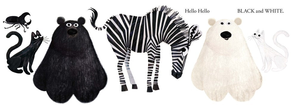 HELLO HELLO COLORS BB