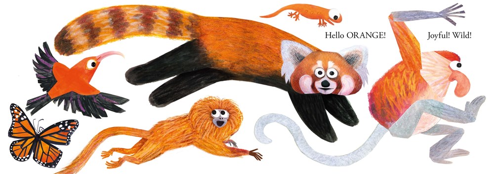 HELLO HELLO COLORS BB