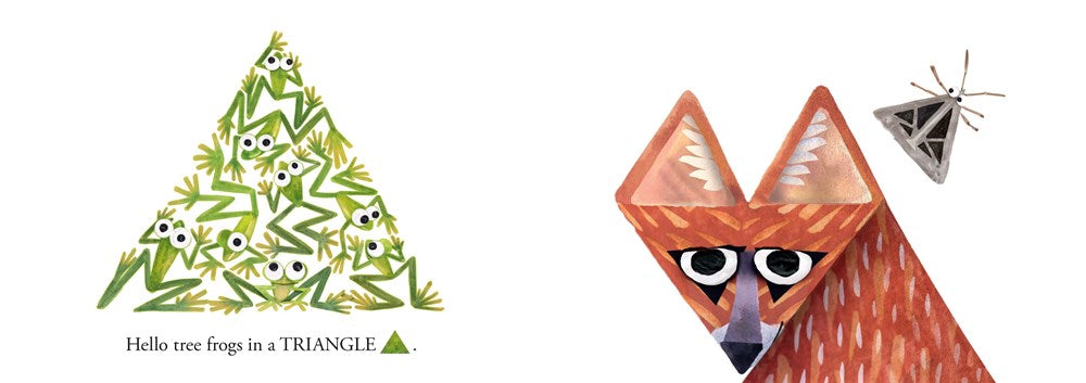 HELLO HELLO SHAPES BB