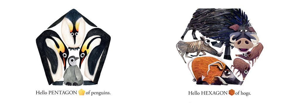 HELLO HELLO SHAPES BB