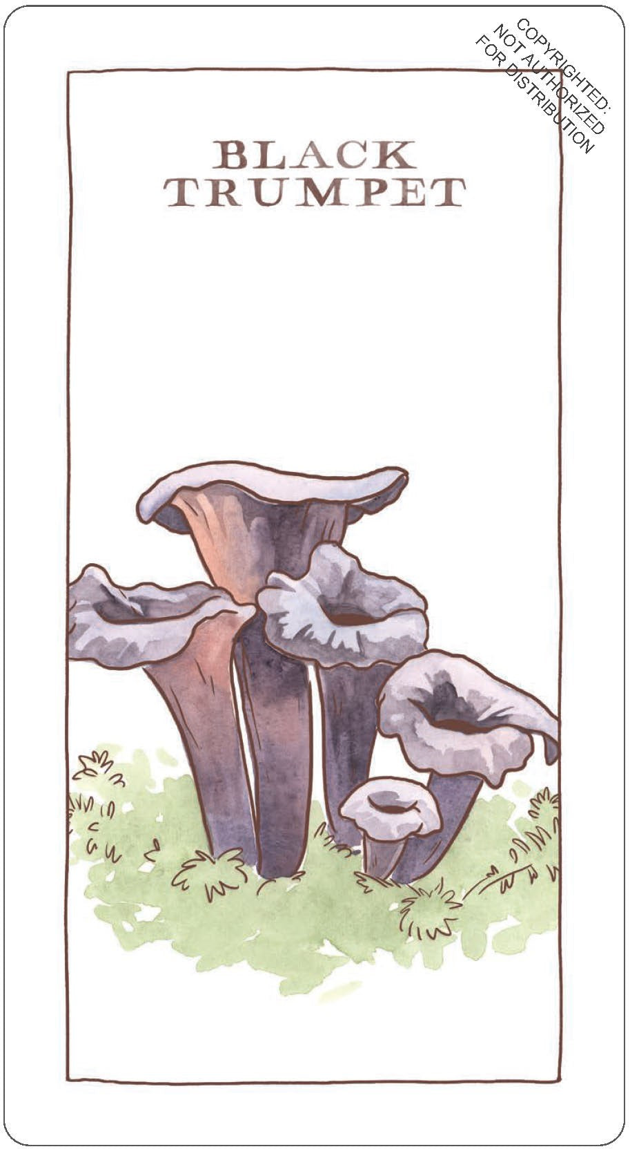 MUSHROOM SPOTTER'S DECK