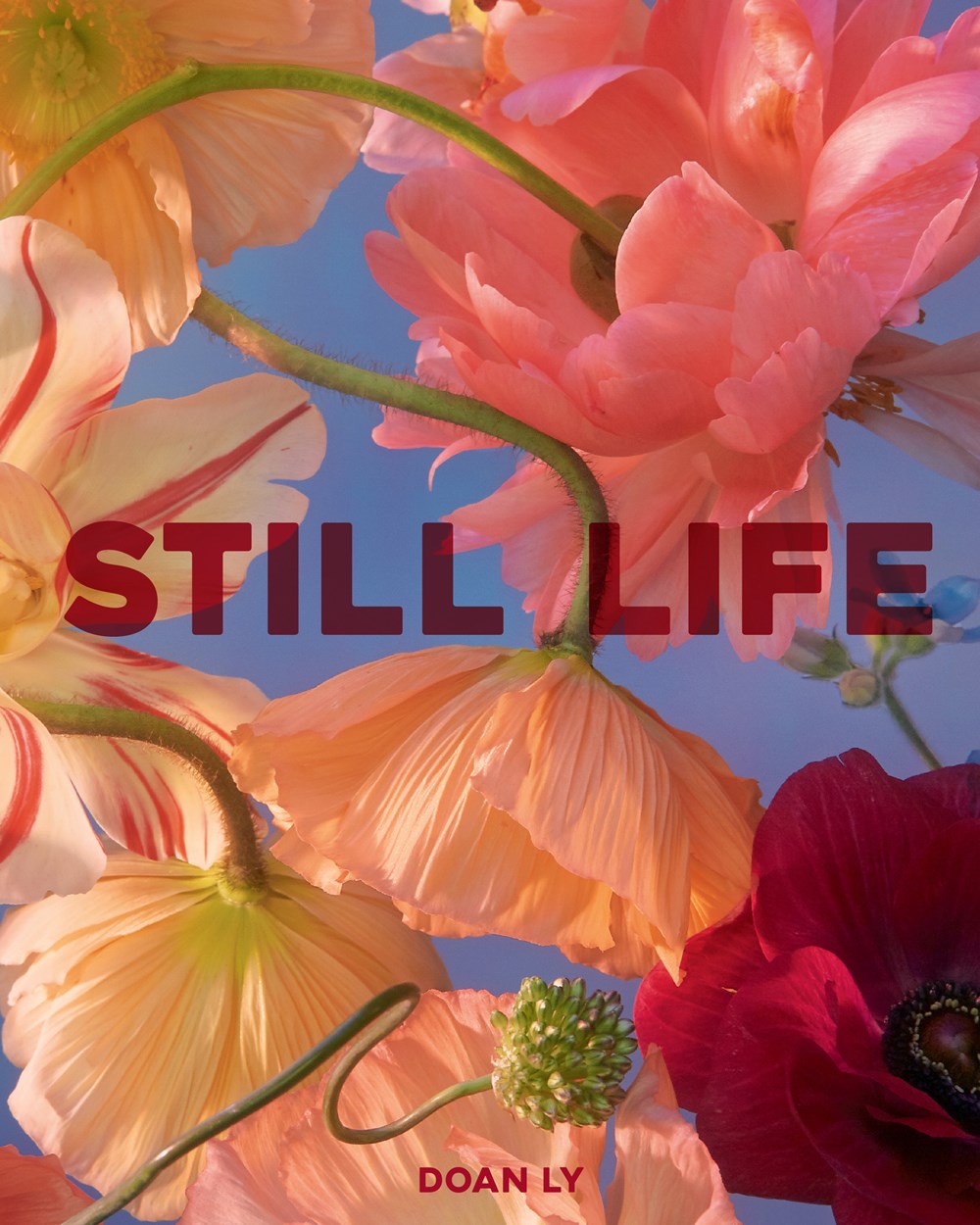 STILL LIFE