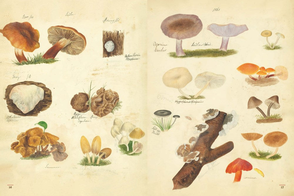 FUNGI COLLECTED IN SHROPSHIRE AND OTHER NEIGHBOURHOODS