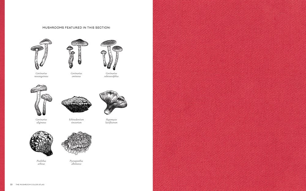 THE MUSHROOM COLOR ATLAS: A GUIDE TO DYES AND PIGMENTS MADE