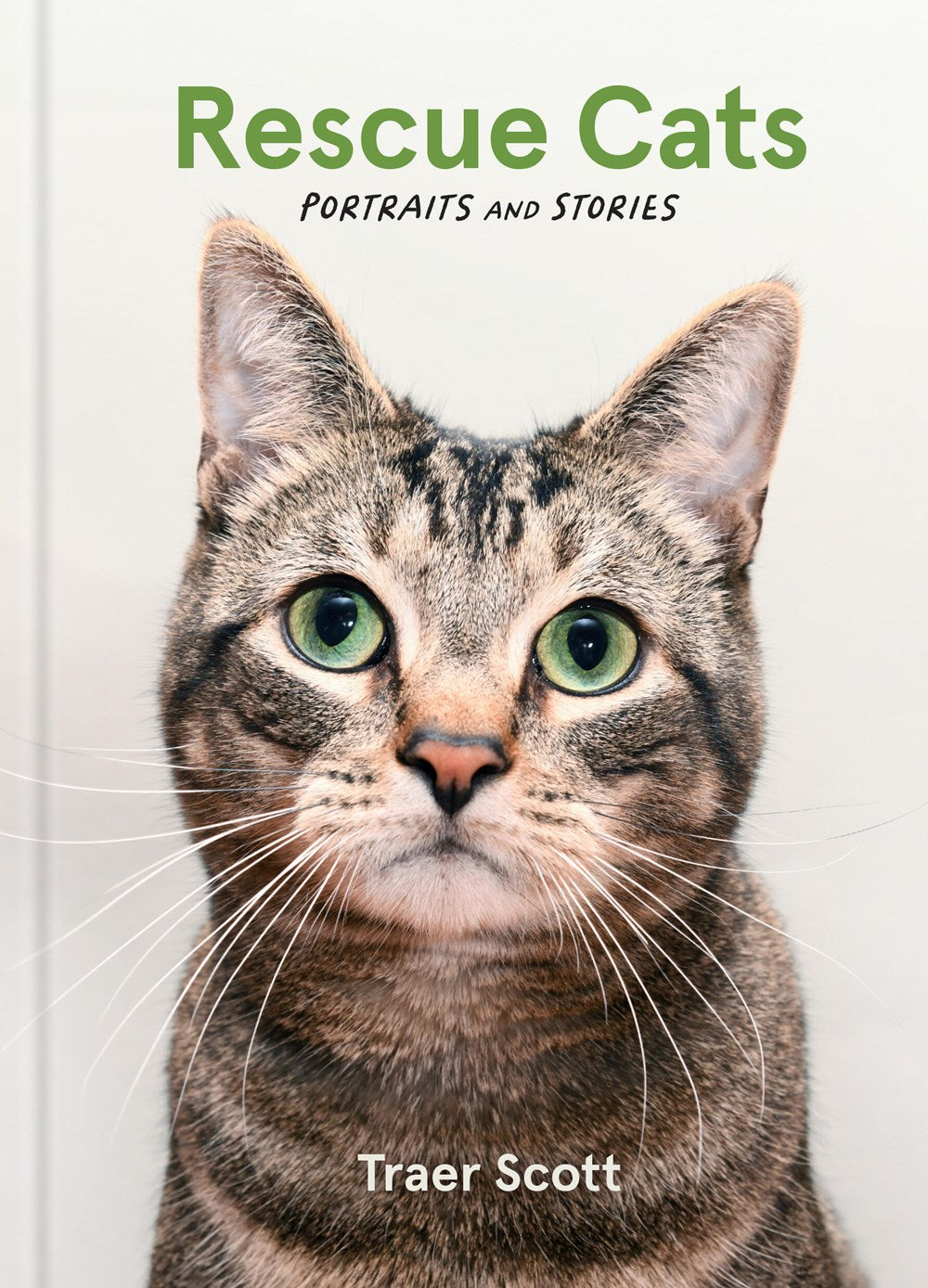 RESCUE CATS: PORTRAITS AND STORIES
