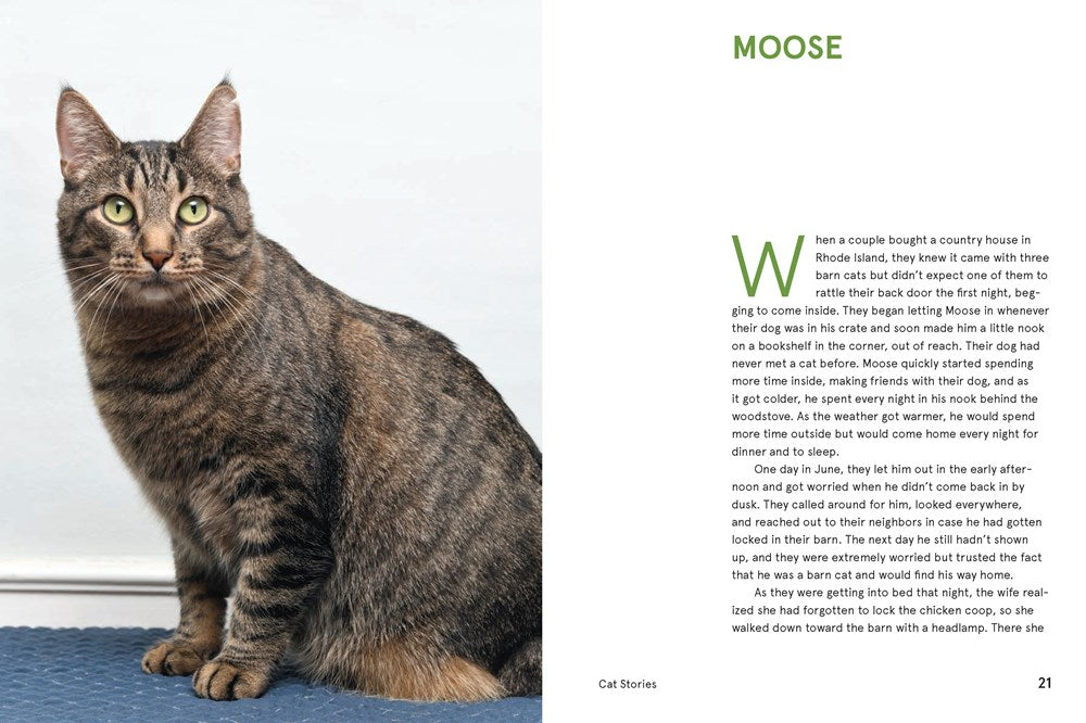 RESCUE CATS: PORTRAITS AND STORIES