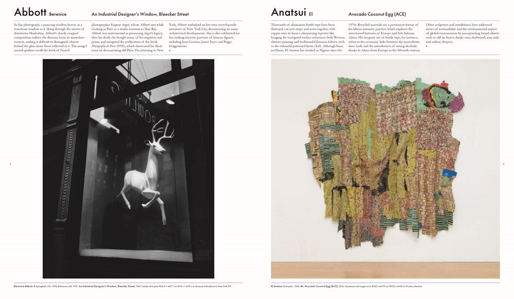 THE ART BOOK