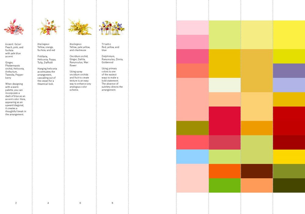 FLOWER COLOR THEORY