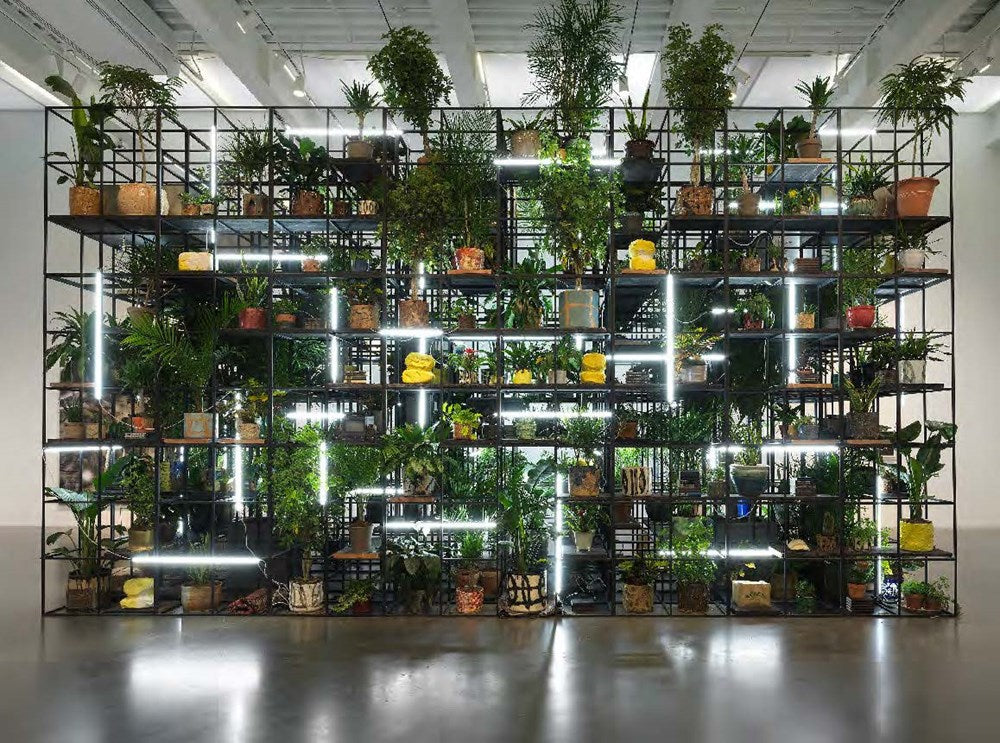 RASHID JOHNSON