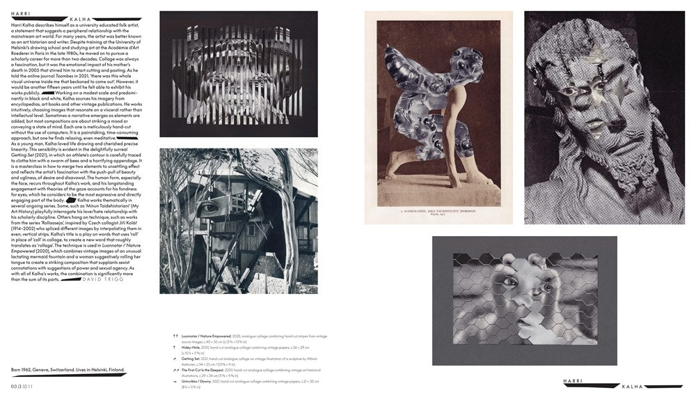 VITAMIN C+: COLLAGE IN CONTEMPORARY ART