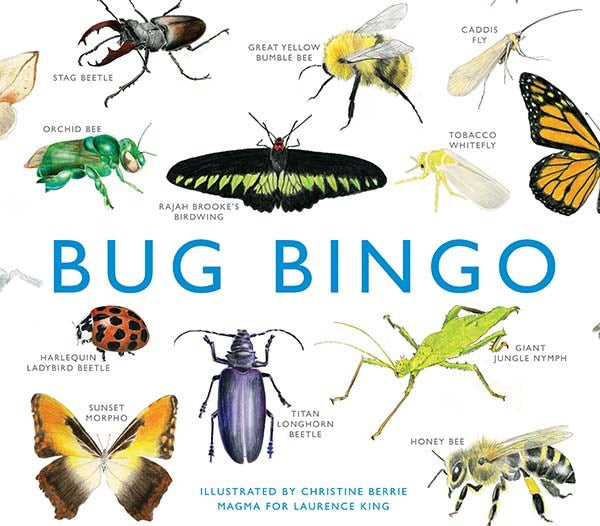 BUG BINGO