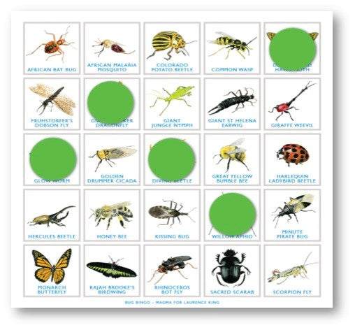 BUG BINGO