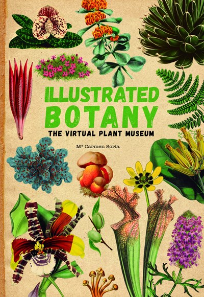 ILLUSTRATED BOTANY: THE VIRTUAL PLANT MUSEUM