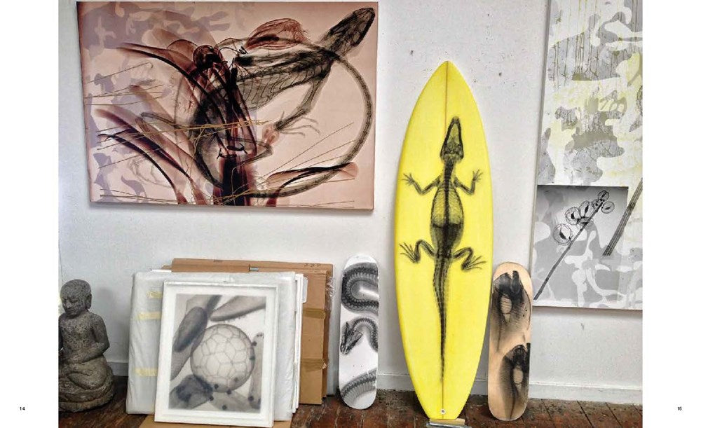 SURF/SKATE