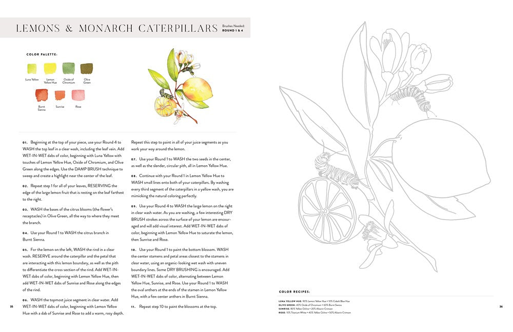 WATERCOLOR WORKBOOK 2: FLOWERS, FEATHERS, & ANIMAL FRIENDS
