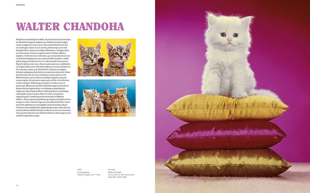 CATS ROCK: FELINES IN CONTEMPORARY ART AND POP CULTURE