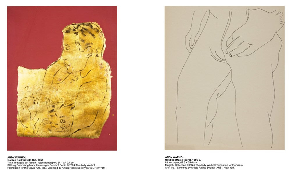 ANDY WARHOL: VELVET RAGE AND BEAUTY
