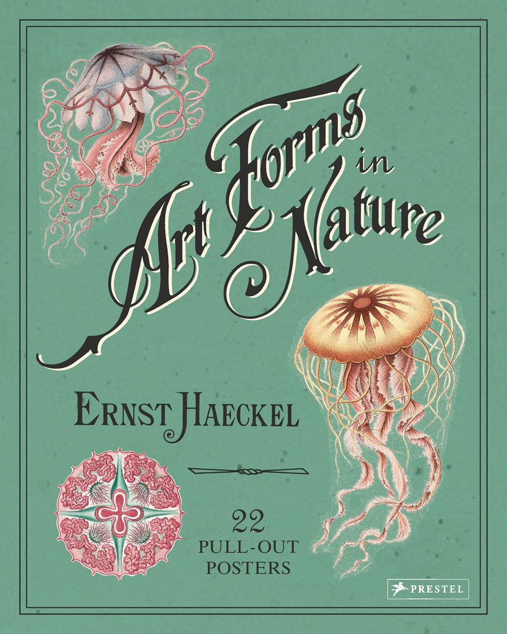 ART FORMS IN NATURE: 22 PULL-OUT POSTERS