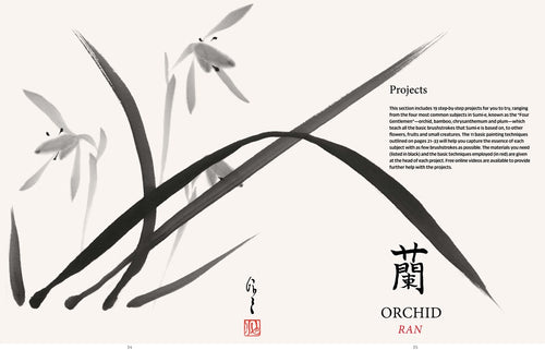 BEGINNER'S GUIDE TO SUMI-E: LEARN JAPANESE INK PAINTING